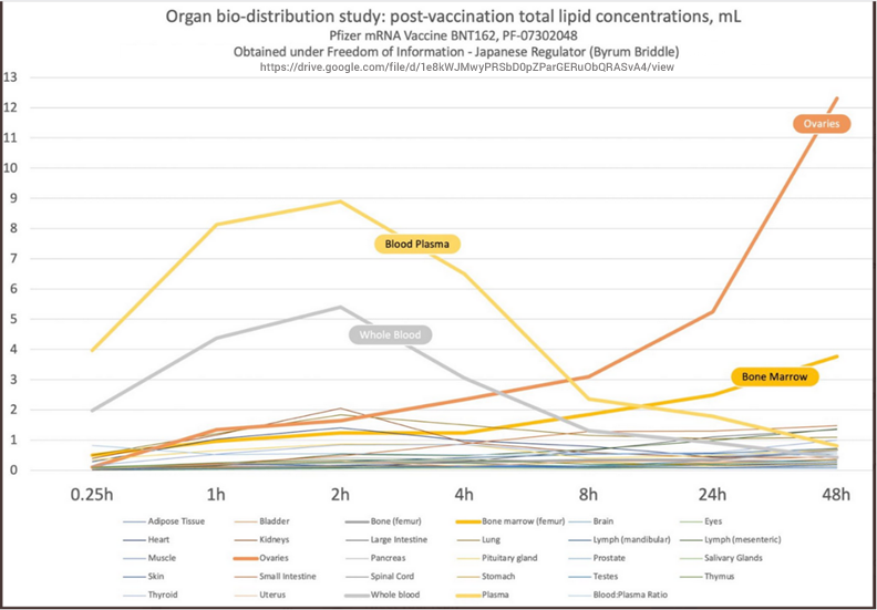 biodistribution study japan covid spike